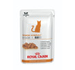 Senior Consult Stage 1 Wet Royal Canin
